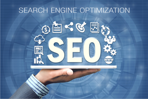 SEO Training